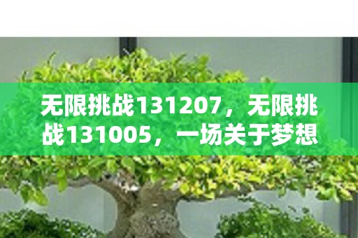 无限挑战131207，无限挑战131005，一场关于梦想与坚持的真人秀