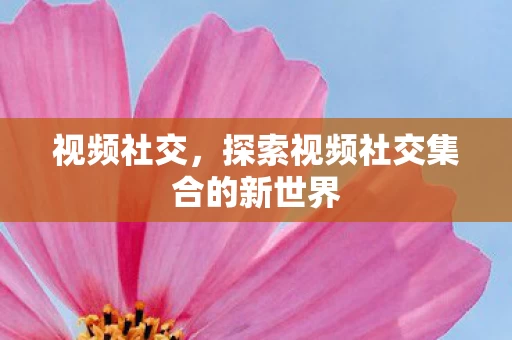 探索视频社交集合的新世界图片