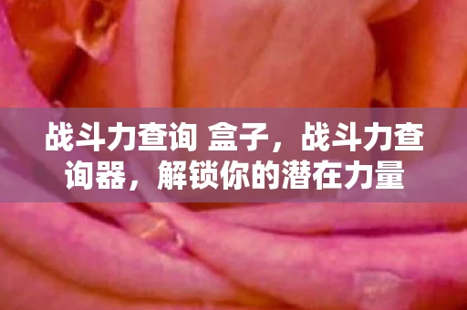 战斗力查询 盒子，战斗力查询器，解锁你的潜在力量