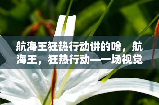航海王狂热行动讲的啥，航海王，狂热行动—一场视觉与情感的盛宴