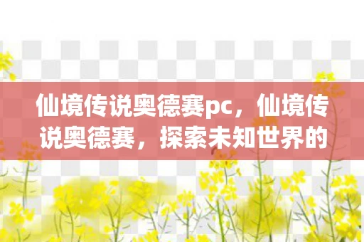 仙境传说奥德赛pc，仙境传说奥德赛，探索未知世界的联机冒险