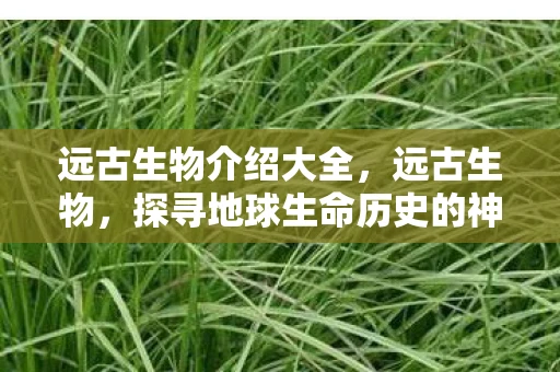 远古生物介绍大全，远古生物，探寻地球生命历史的神秘篇章