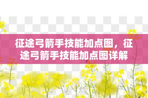 征途弓箭手技能加点图，征途弓箭手技能加点图详解