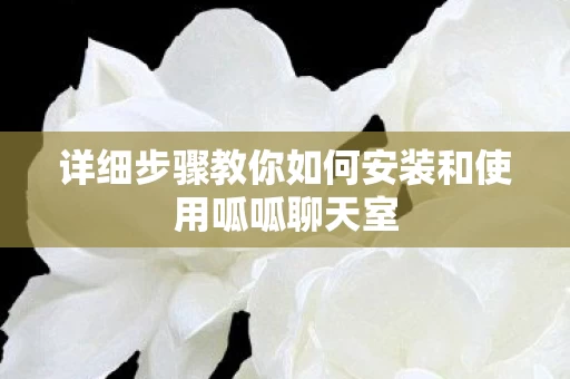 详细步骤教你如何安装和使用呱呱聊天室图片