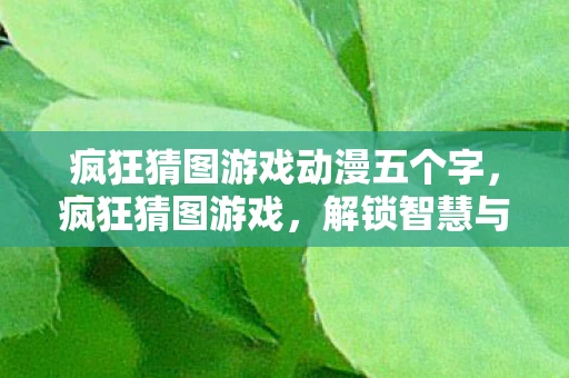 疯狂猜图游戏动漫五个字，疯狂猜图游戏，解锁智慧与创意的奇妙之旅