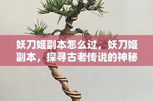 妖刀姬副本怎么过，妖刀姬副本，探寻古老传说的神秘之旅