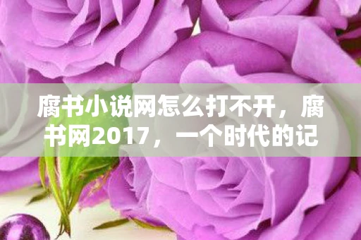 腐书小说网怎么打不开，腐书网2017，一个时代的记忆与反思
