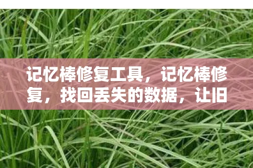 记忆棒修复工具，记忆棒修复，找回丢失的数据，让旧时光重现