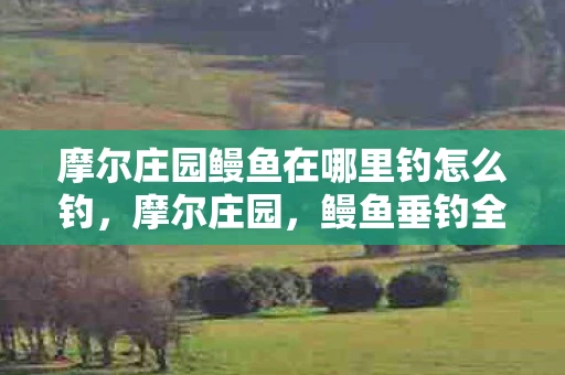 摩尔庄园鳗鱼在哪里钓怎么钓，摩尔庄园，鳗鱼垂钓全攻略