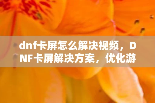 dnf卡屏怎么解决视频，DNF卡屏解决方案，优化游戏设置与硬件升级