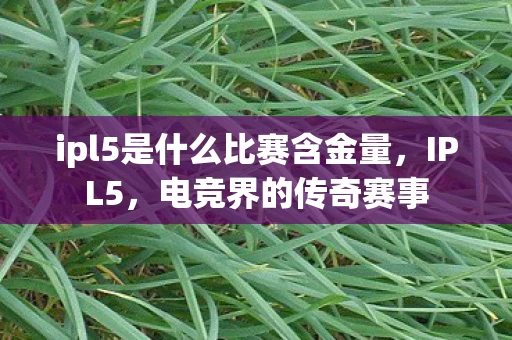 ipl5是什么比赛含金量，IPL5，电竞界的传奇赛事