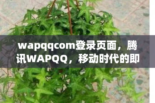 wapqqcom登录页面，腾讯WAPQQ，移动时代的即时通讯先锋