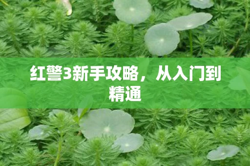 红警3新手攻略图片
