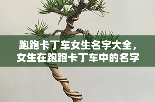 跑跑卡丁车女生名字大全，女生在跑跑卡丁车中的名字创意指南