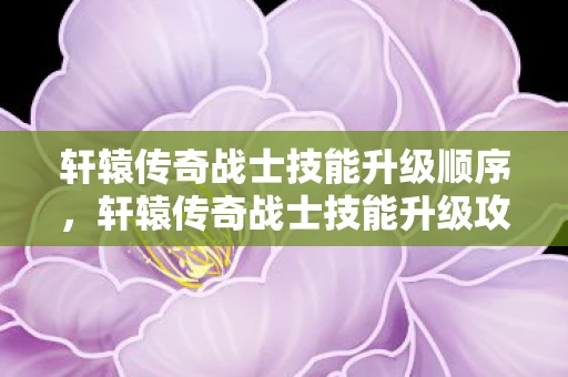 轩辕传奇战士技能升级顺序，轩辕传奇战士技能升级攻略，打造无敌战士的秘诀
