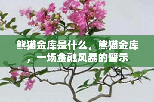 熊猫金库是什么，熊猫金库，一场金融风暴的警示