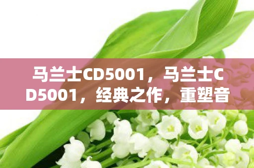 马兰士CD5001，马兰士CD5001，经典之作，重塑音乐体验