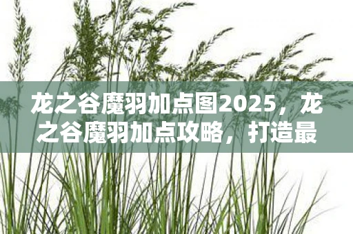 龙之谷魔羽加点图2025，龙之谷魔羽加点攻略，打造最强魔羽角色