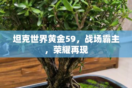 坦克世界黄金59图片