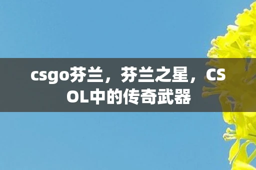 csgo芬兰，芬兰之星，CSOL中的传奇武器