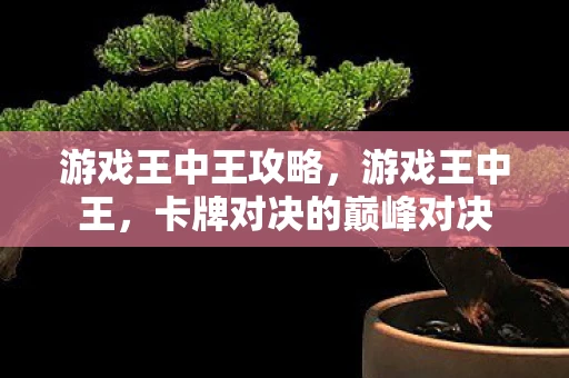 游戏王中王攻略，游戏王中王，卡牌对决的巅峰对决
