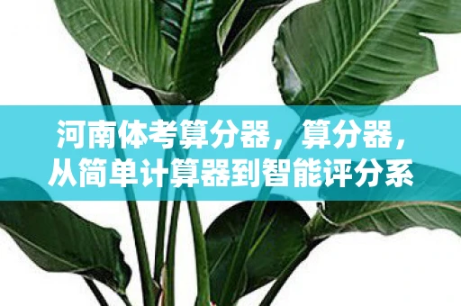 河南体考算分器，算分器，从简单计算器到智能评分系统的演变