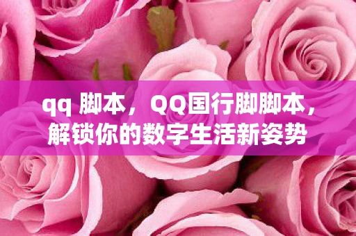 qq 脚本，QQ国行脚脚本，解锁你的数字生活新姿势