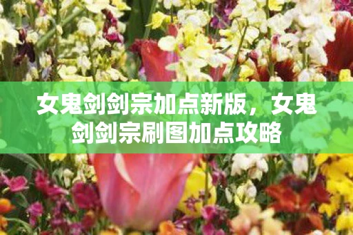 女鬼剑剑宗加点新版，女鬼剑剑宗刷图加点攻略