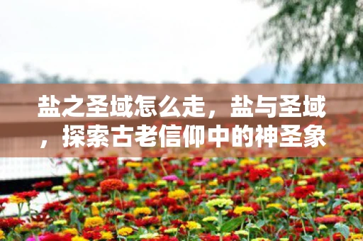 盐之圣域怎么走，盐与圣域，探索古老信仰中的神圣象征