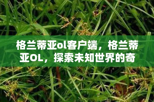 格兰蒂亚ol客户端，格兰蒂亚OL，探索未知世界的奇幻之旅