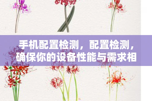 手机配置检测，配置检测，确保你的设备性能与需求相匹配
