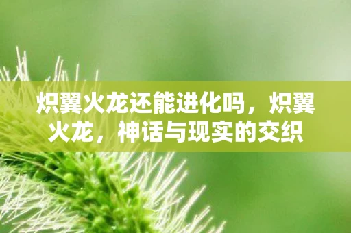 炽翼火龙还能进化吗，炽翼火龙，神话与现实的交织