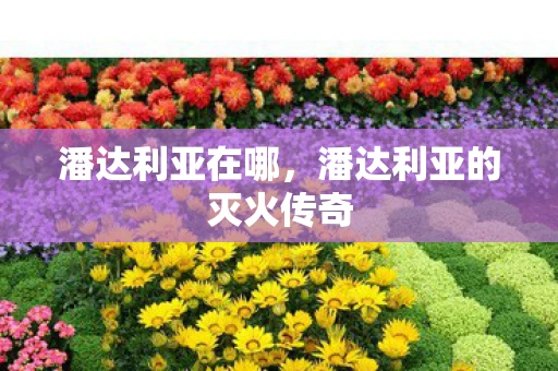 潘达利亚在哪，潘达利亚的灭火传奇