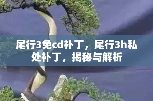 尾行3免cd补丁，尾行3h私处补丁，揭秘与解析