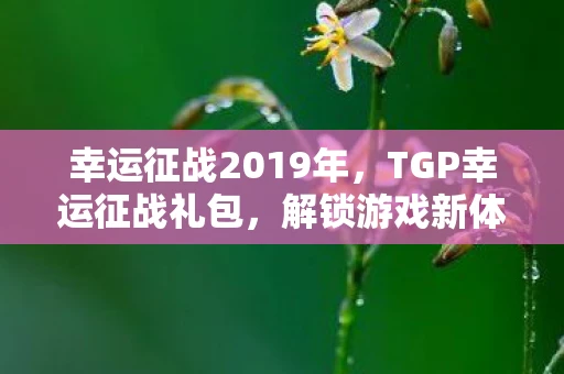 幸运征战2019年，TGP幸运征战礼包，解锁游戏新体验，赢在起跑线！