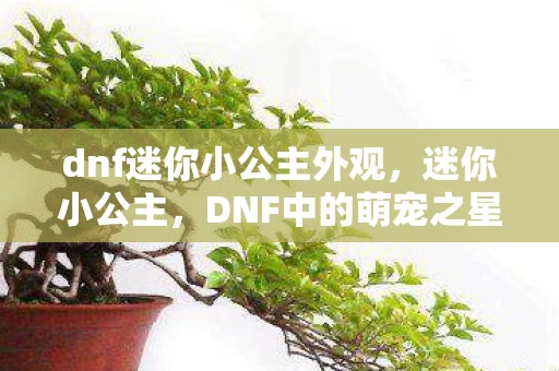 dnf迷你小公主外观，迷你小公主，DNF中的萌宠之星