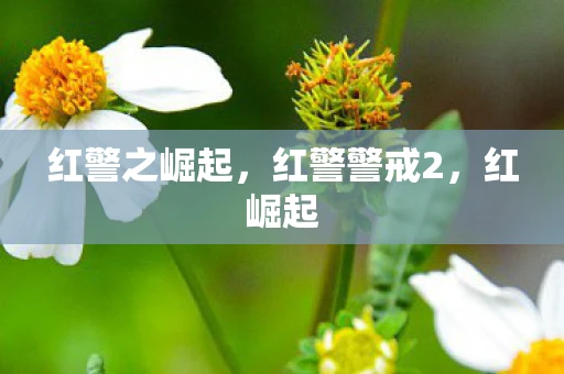 红警之崛起，红警警戒2，红崛起