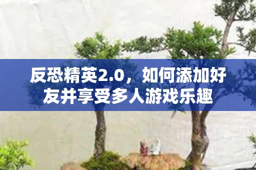 如何添加好友并享受多人游戏乐趣图片