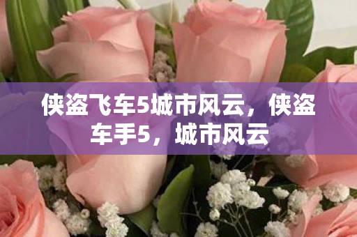 侠盗飞车5城市风云，侠盗车手5，城市风云