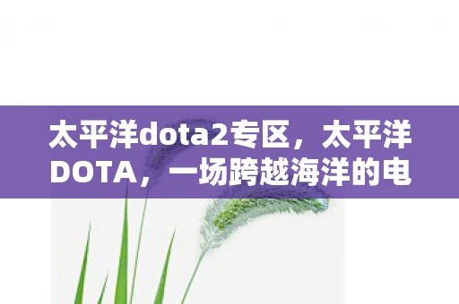 太平洋dota2专区,太平洋DOTA,一场跨越海洋的电竞盛宴 太平洋dota2专区,太平洋DOTA,一场跨越海洋的电竞盛宴