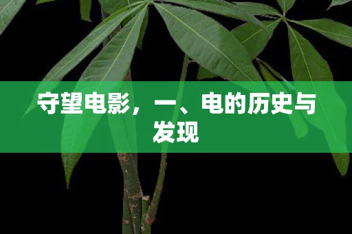 守望电影，一、电的历史与发现
