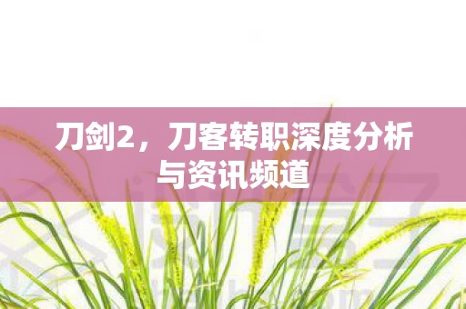 刀客转职深度分析与资讯频道图片