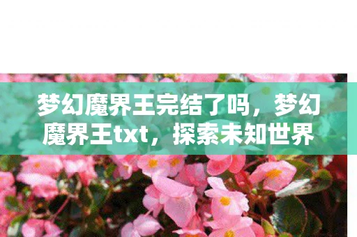 梦幻魔界王完结了吗，梦幻魔界王txt，探索未知世界的奇幻之旅