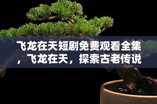 飞龙在天短剧免费观看全集，飞龙在天，探索古老传说中的神秘生物