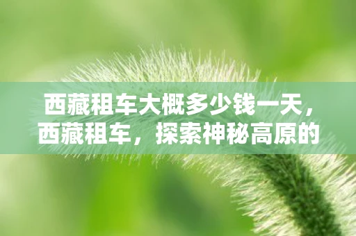 西藏租车大概多少钱一天，西藏租车，探索神秘高原的绝佳方式