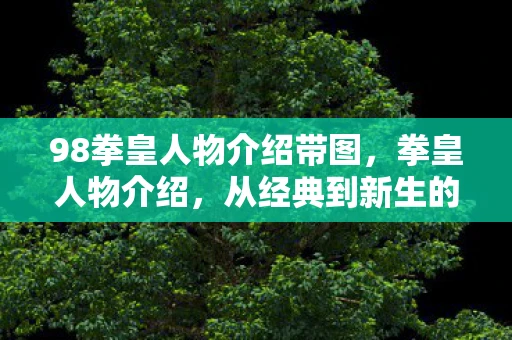 98拳皇人物介绍带图，拳皇人物介绍，从经典到新生的传奇角色
