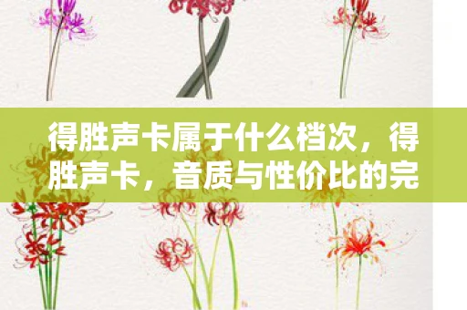 得胜声卡属于什么档次，得胜声卡，音质与性价比的完美结合