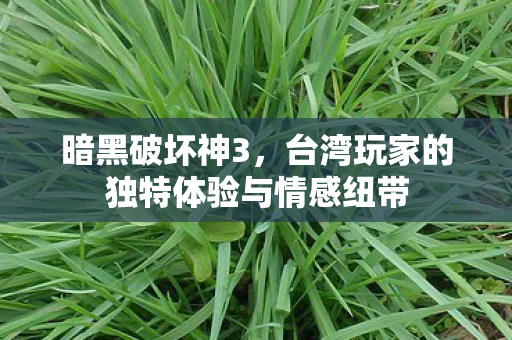 暗黑破坏神3，台湾玩家的独特体验与情感纽带
