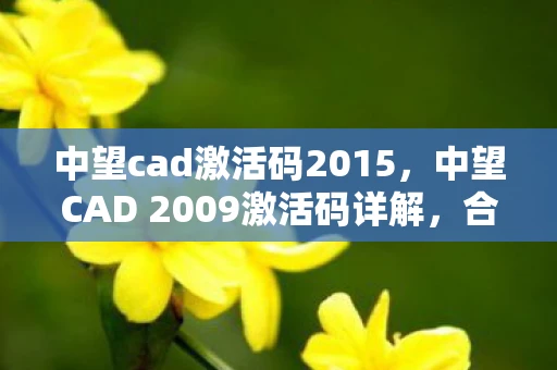 中望cad激活码2015，中望CAD 2009激活码详解，合法使用，避免侵权