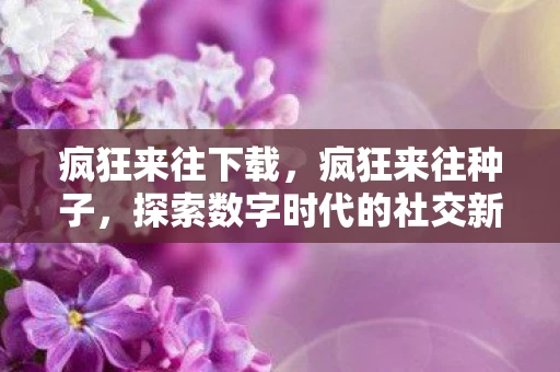 疯狂来往下载，疯狂来往种子，探索数字时代的社交新趋势